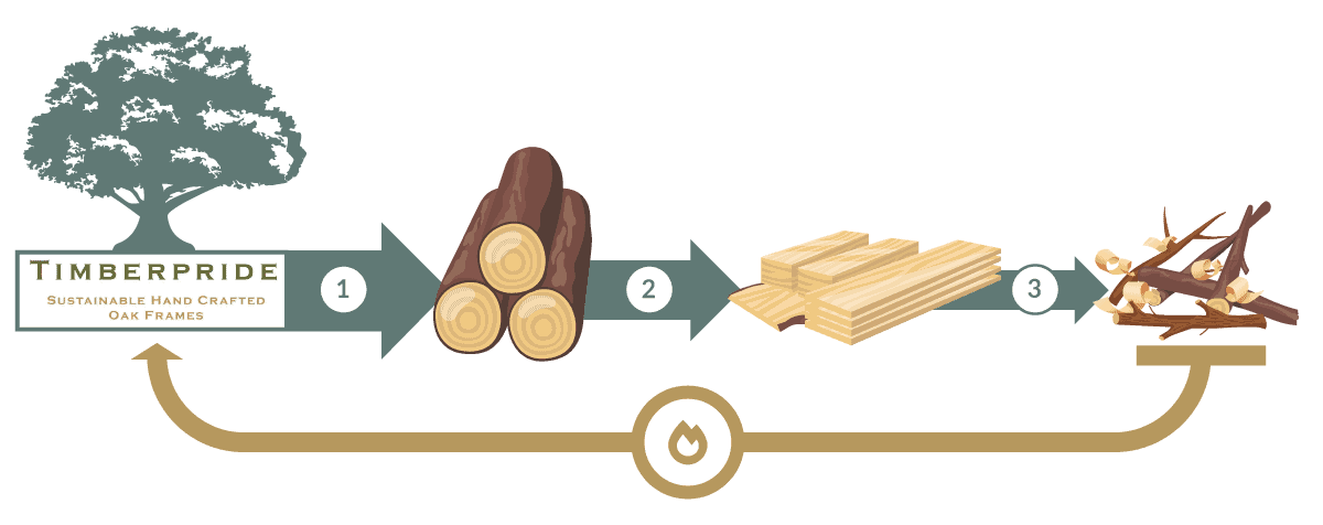 Sustainable Oak Frames Process